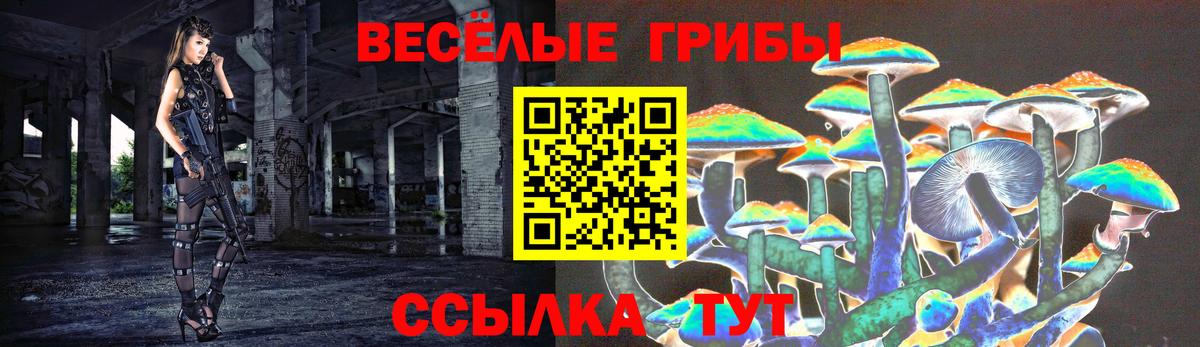 Галлюциногенные грибы ЛСД Медногорск