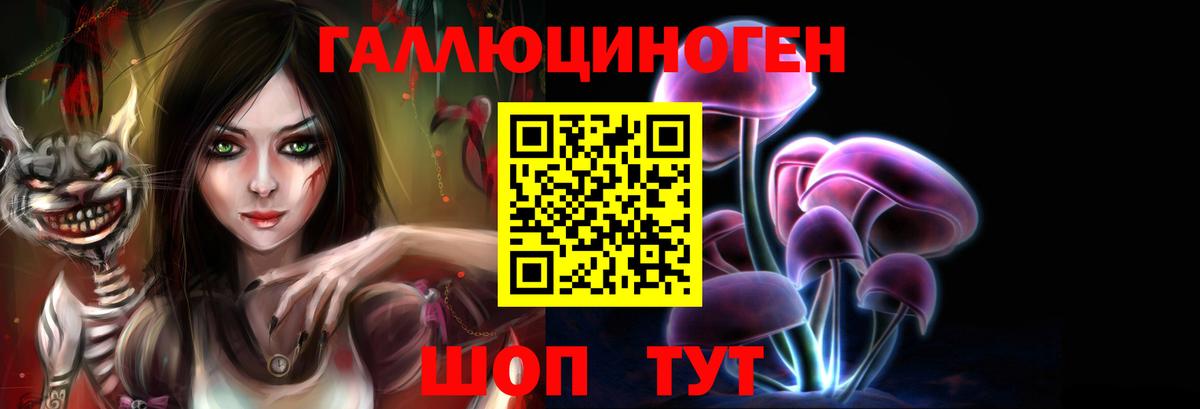 Медногорск  купить   Вход с VPN  Галлюциногенные грибы MAGIC MUSHROOMS 